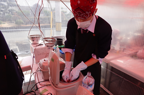 【未来探究コース】UME-1フェスタ出場