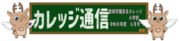 カレッジ通信６月号