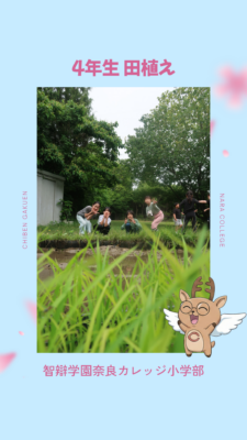 968．田植え（４年生）