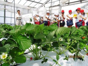 2016-10-21-4shakaikengaku-3