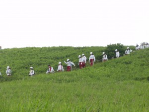 20150715臨海林間④