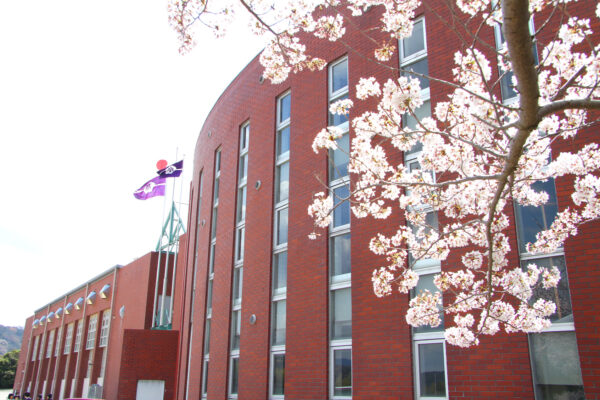 大学合格実績！