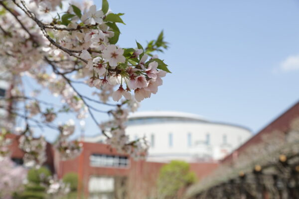7/3 入試説明会（岩出市）会場変更のお知らせ